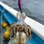 MGクリーンサービス